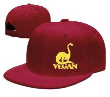 fboylovefor Vegan Dinosaur Baseball Cap